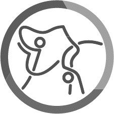 Icono de actividad